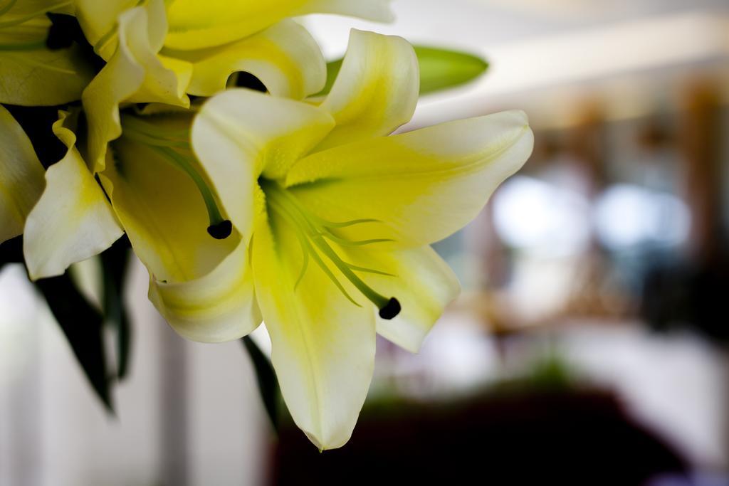 Muong Thanh Holiday Da Lat Hotel Exterior photo